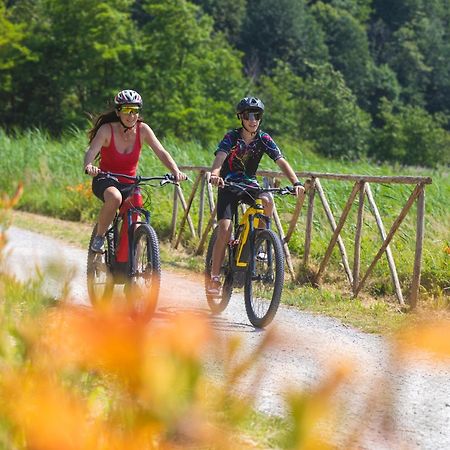 I Laghee Casette Breva E Tivano -Garden-Parking-Lake View - Bike Friendly Holiday House 콜리코 외부 사진