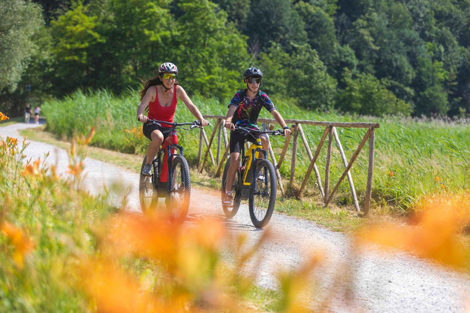 I Laghee Casette Breva E Tivano -Garden-Parking-Lake View - Bike Friendly Holiday House 콜리코 외부 사진